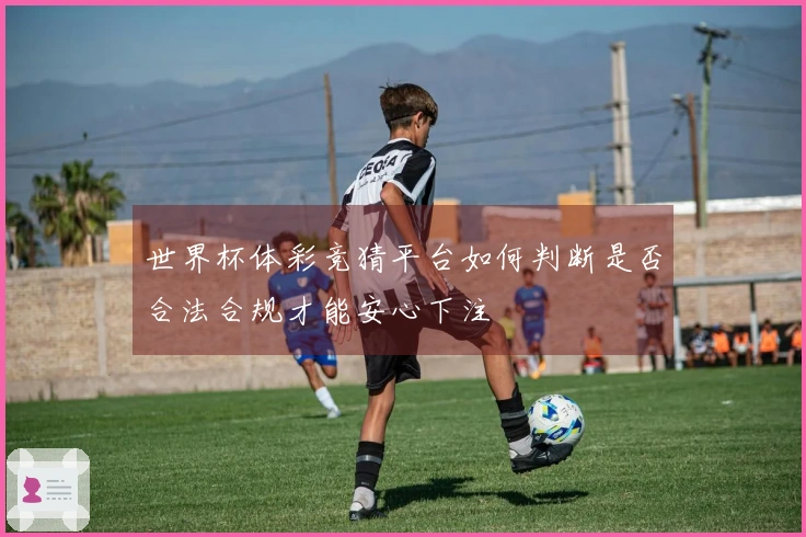 世界杯体彩竞猜平台如何判断是否合法合规才能安心下注