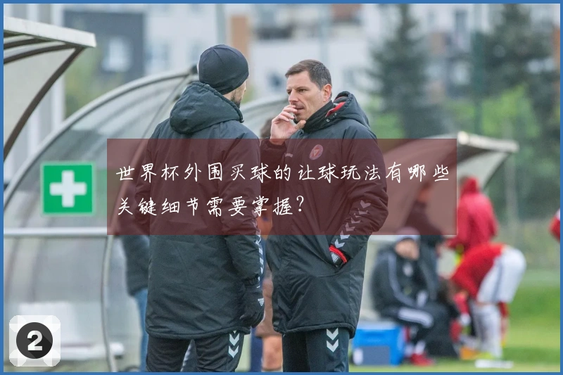世界杯外围买球的让球玩法有哪些关键细节需要掌握？