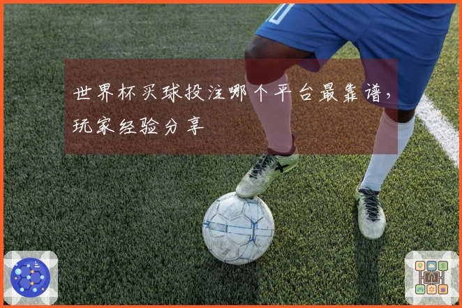 世界杯买球投注哪个平台最靠谱，玩家经验分享