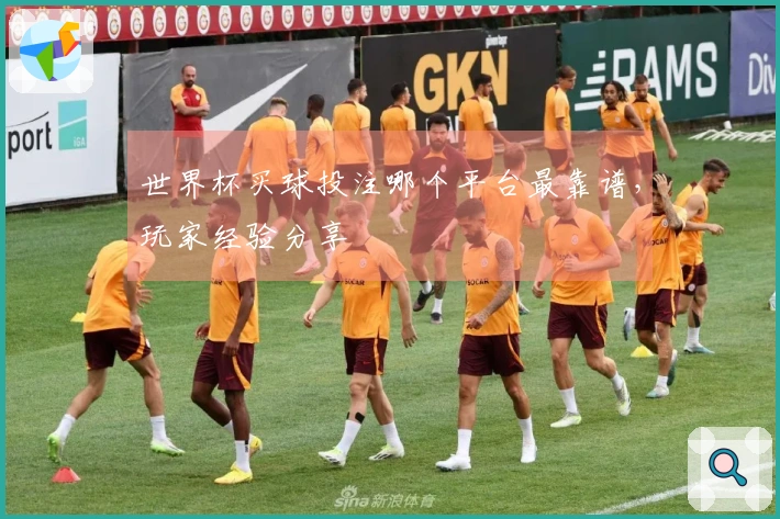 世界杯买球投注哪个平台最靠谱，玩家经验分享